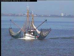 Webcam Kurhaus Dangast, Strand und Nordsee